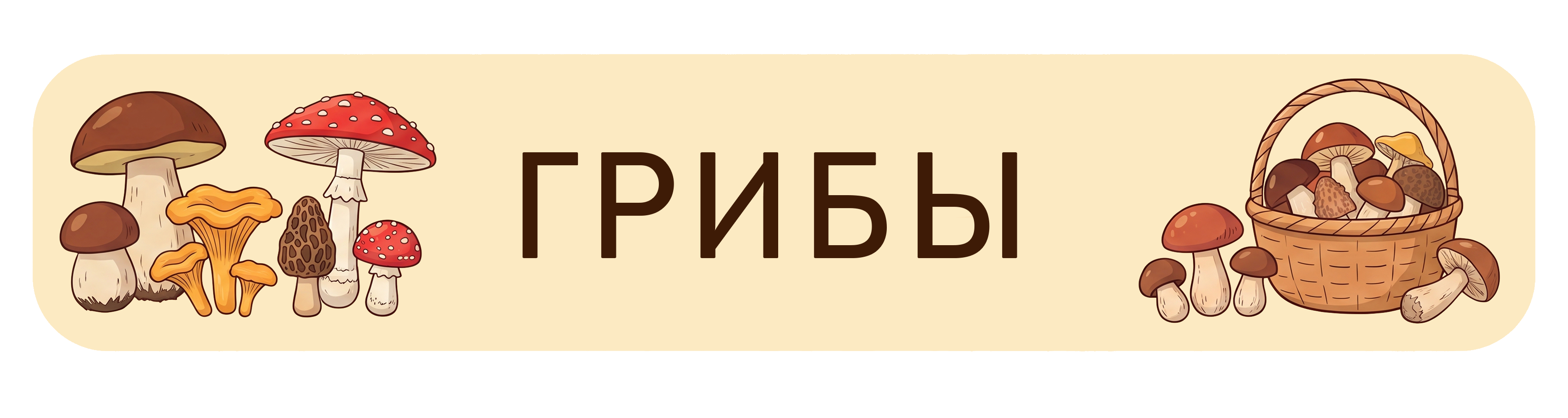 Грибы