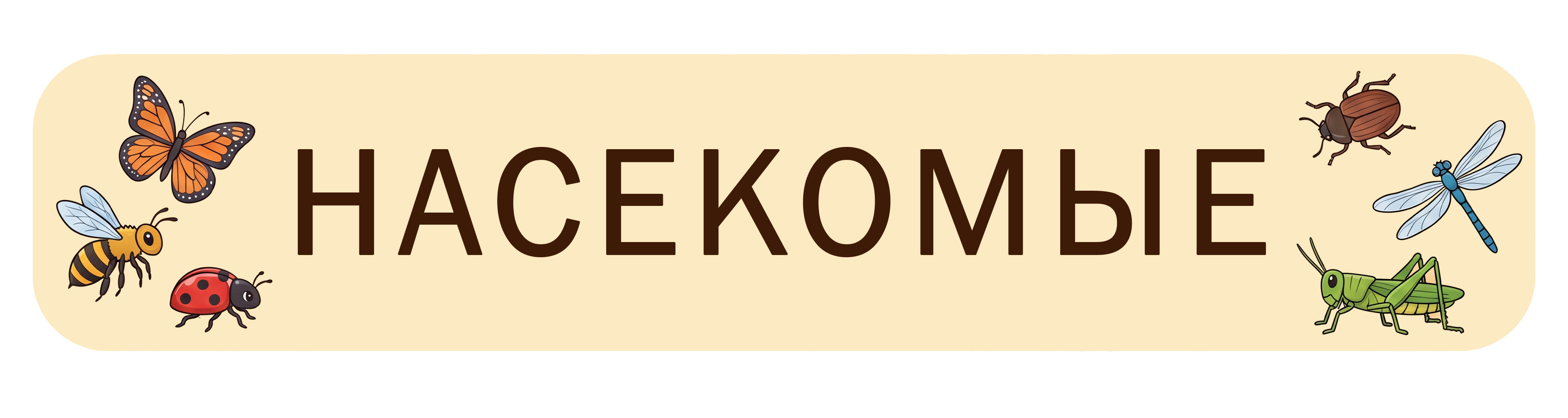 Насекомые