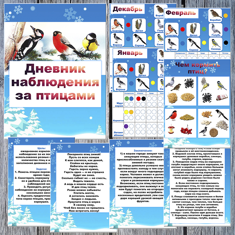 Дневник наблюдения за птицами