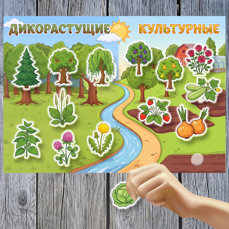 Дикорастущие и культурные растения